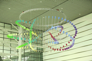 公司动态研究：聚焦高景气赛道积极扩张产能与出海